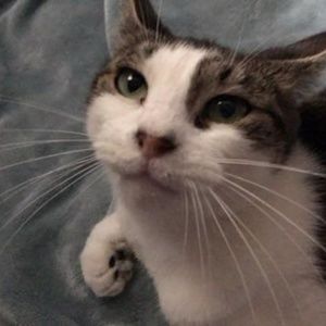 Meet your Posher, Robyn